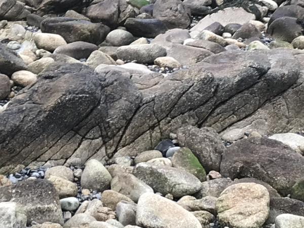 Grey rocks