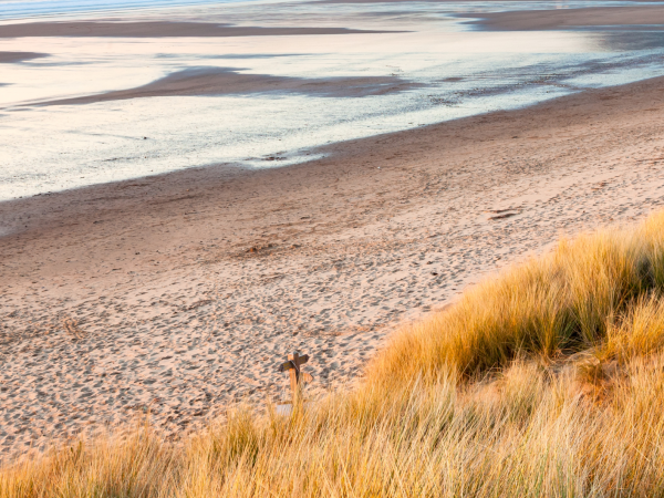 beach dunes