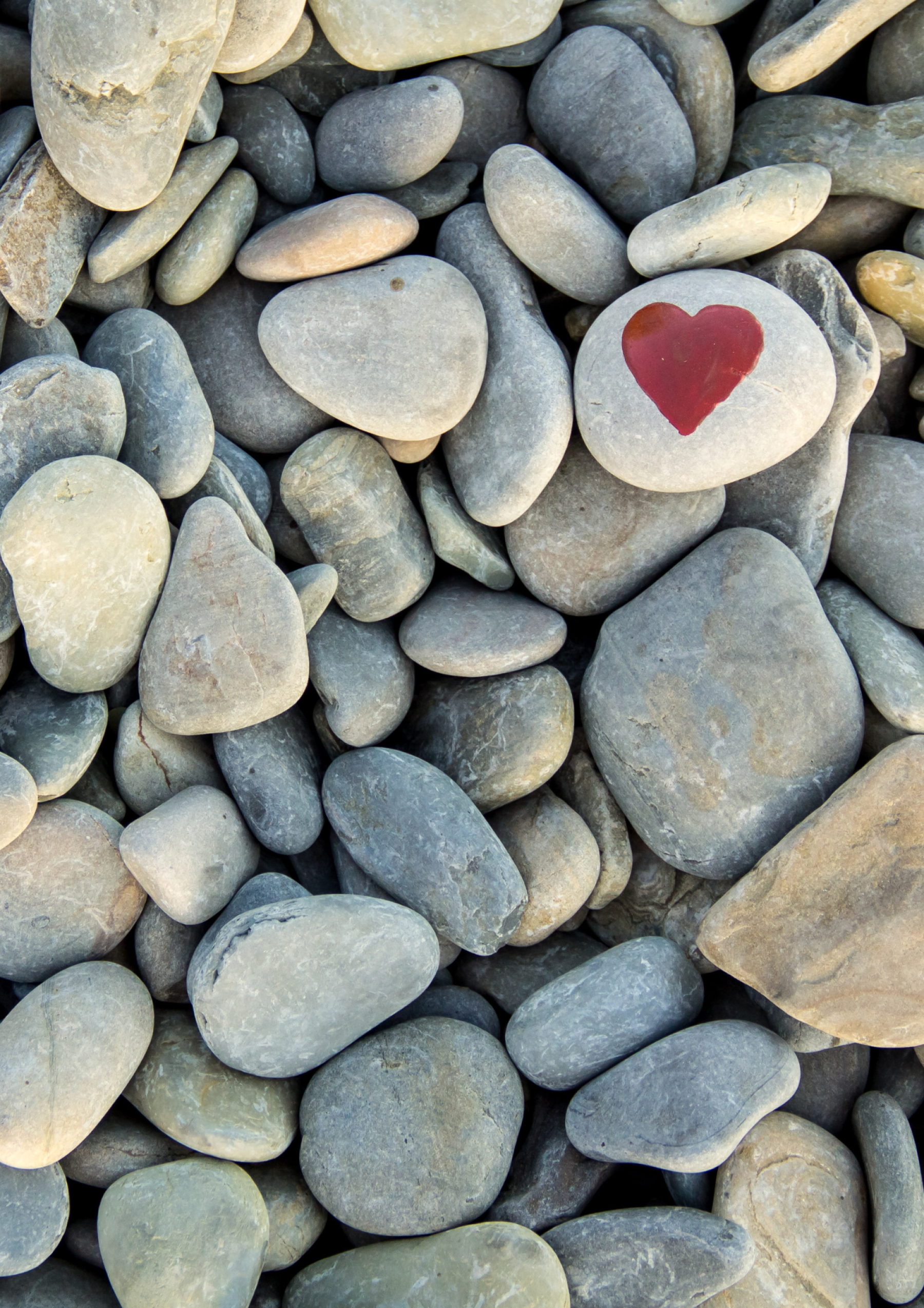 pebbles with painted heart